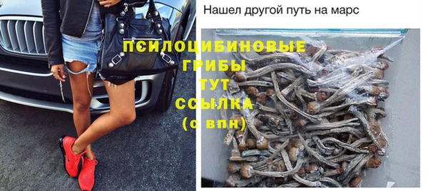 мет Бородино