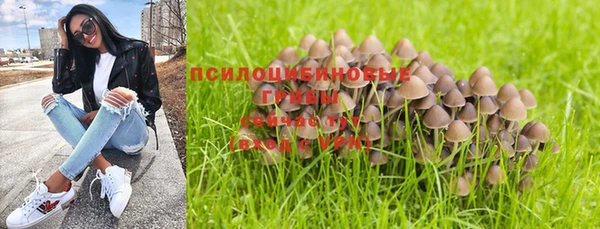 стафф Верея