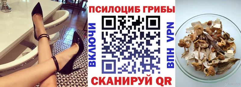 Купить закладки  Коммунар  Галлюциногенные грибы GOLDEN TEACHER 